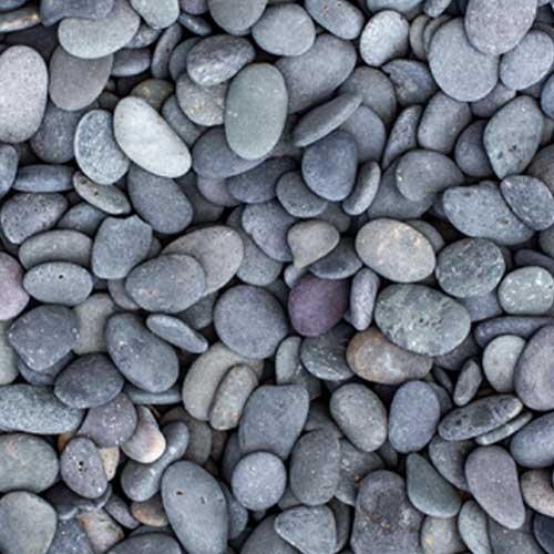 Black Beach Buttons Rock Ground Cover