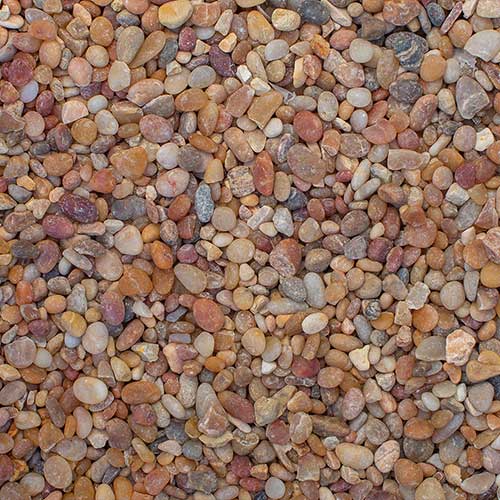 Jelly Bean Small Rock Ground Cover