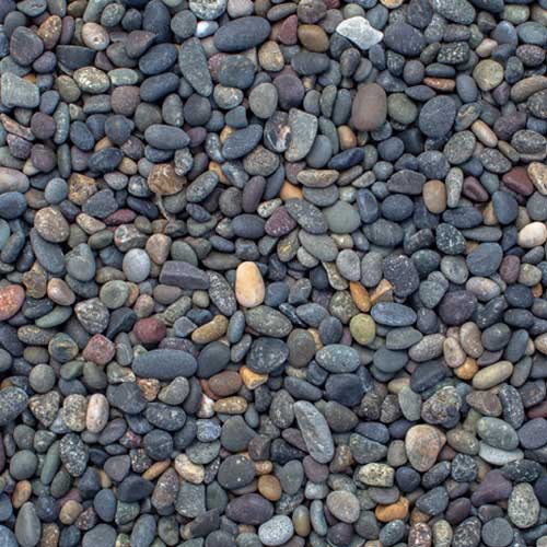 Mixed Beach Pebble Extra Small Rock Ground Cover