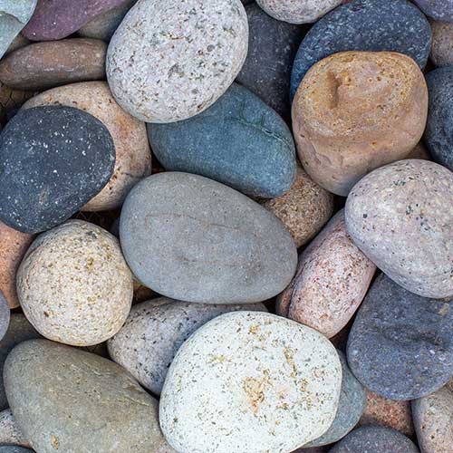 Mixed Beach Pebble Large Rock Ground Cover