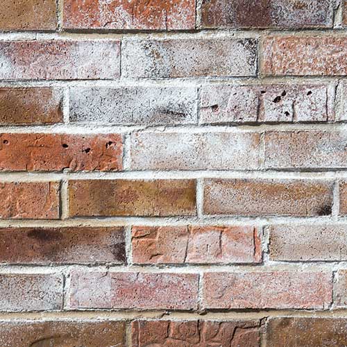 Efflorescence in Masonry Products