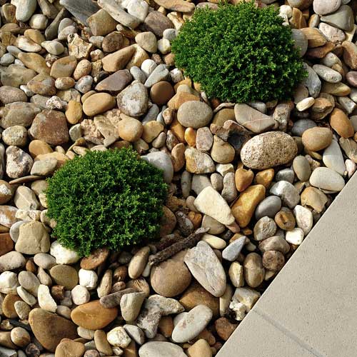 What Is the Cheapest Rock for Landscaping?