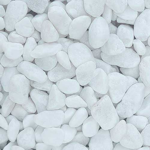 Himalayan White Large Specialty Pebbles