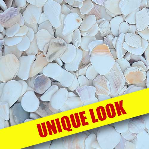 Tumbled Sea Shells